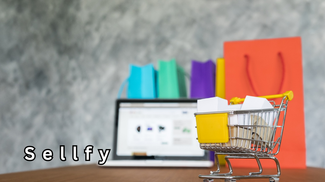 Sellfy The Complete Guide to Selling Digital Products Online
